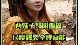 电影解说爆料大全最新版,最新版电影解说爆料大全深度解析