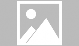 忍者最新爆料金币a忍,揭秘忍者世界中的神秘力量